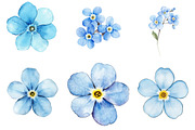 Forget Me Not Flower Bloom Clipart, an Illustration by cherrydesign (Thumbnail 4 of 4)