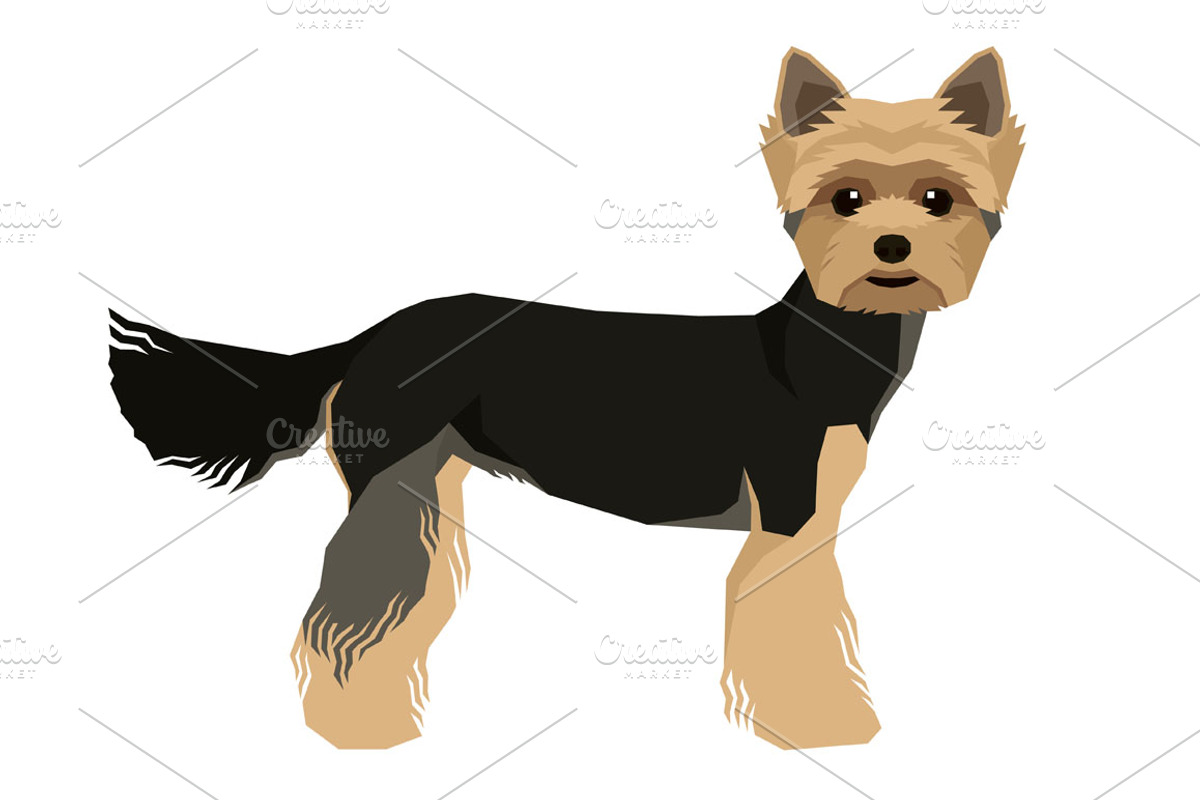 Dog breeds Yorkshire terrier, an Animal Illustration by Nenilkime (Photo 2 of 3)