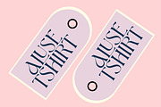 Aluest - Elegant Modern Font, a Serif Font by Luna Shop (Thumbnail 6 of 7)