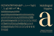 Artrend, a Serif Font by Propertype (Thumbnail 9 of 15)