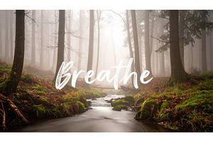 Misty forest with stream and breathe, a Background Photo by Igor Tichonow