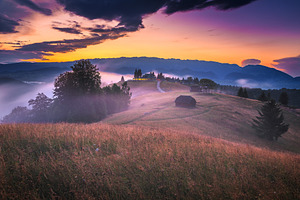 Autumn misty scenery at sunset, a Nature Photo by Alpine Dreams