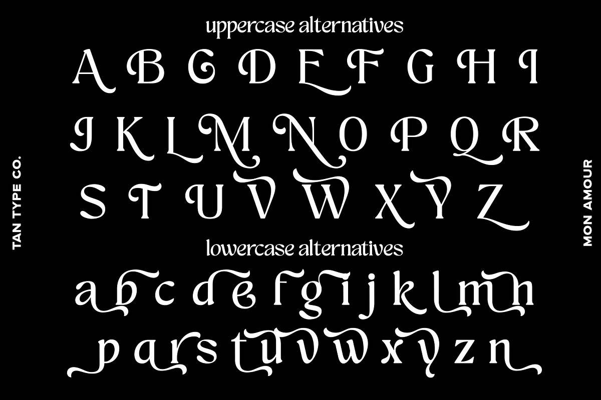 TAN - MON AMOUR, a Font by TanType (Photo 9 of 11)