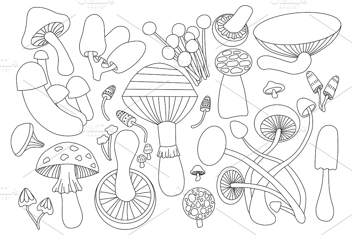 MUSHROOMS. Vector Set for your work., a Food Illustration by palllna (Photo 5 of 5)