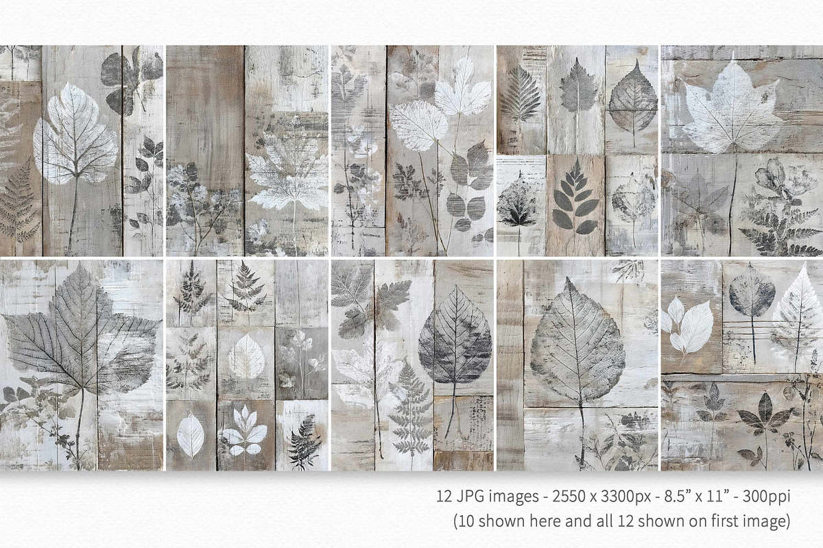 Woodland Prints, a Decorative Illustration by rileyBgraphics (Photo 2 of 6)