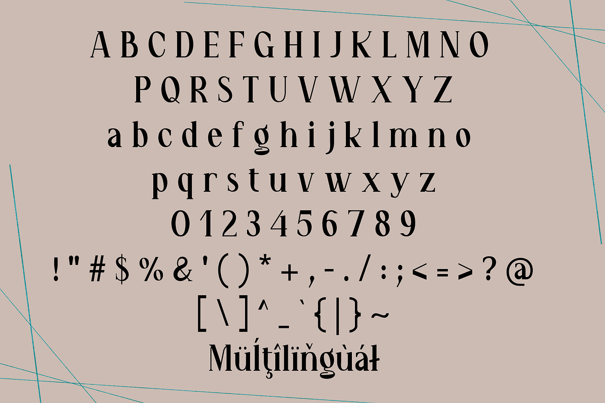 Wendric Vale - Serif Font, a Serif Font by NDNL Studio (Photo 6 of 6)