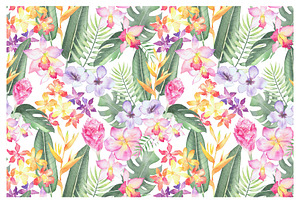 Tropical Flora, Watercolor Clipart