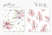 X-Ray Flowers Watercolor, an Object Illustration by Olga Koelsch (Thumbnail 12 of 13)