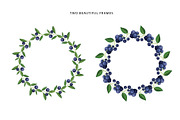 Delicious blueberries. Vector set., a Graphic by natamastery (Thumbnail 4 of 7)