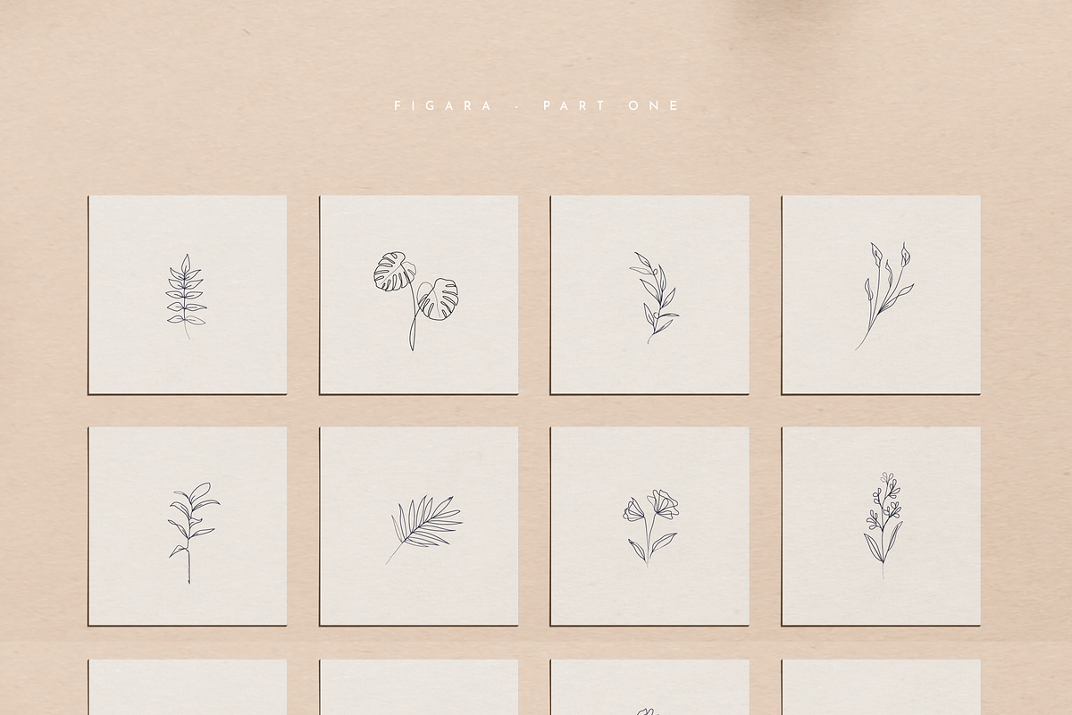 Botanical Line Drawings, a Decorative Illustration by Delightful Design (Photo 7 of 7)