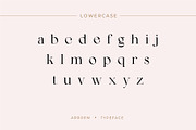 Arroem - Serif Display Font, a Serif Font by Vesvocrea (Thumbnail 11 of 15)
