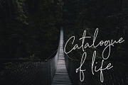 Bulqeusfertom – Elegant Font Vol 2, a Handwritten Font by Black Junst (Thumbnail 9 of 15)