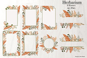 HERBARIUM. Vector set, a Pattern Graphic by Irina Skaska (Thumbnail 9 of 12)