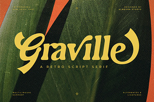Graville – Retro Script Serif