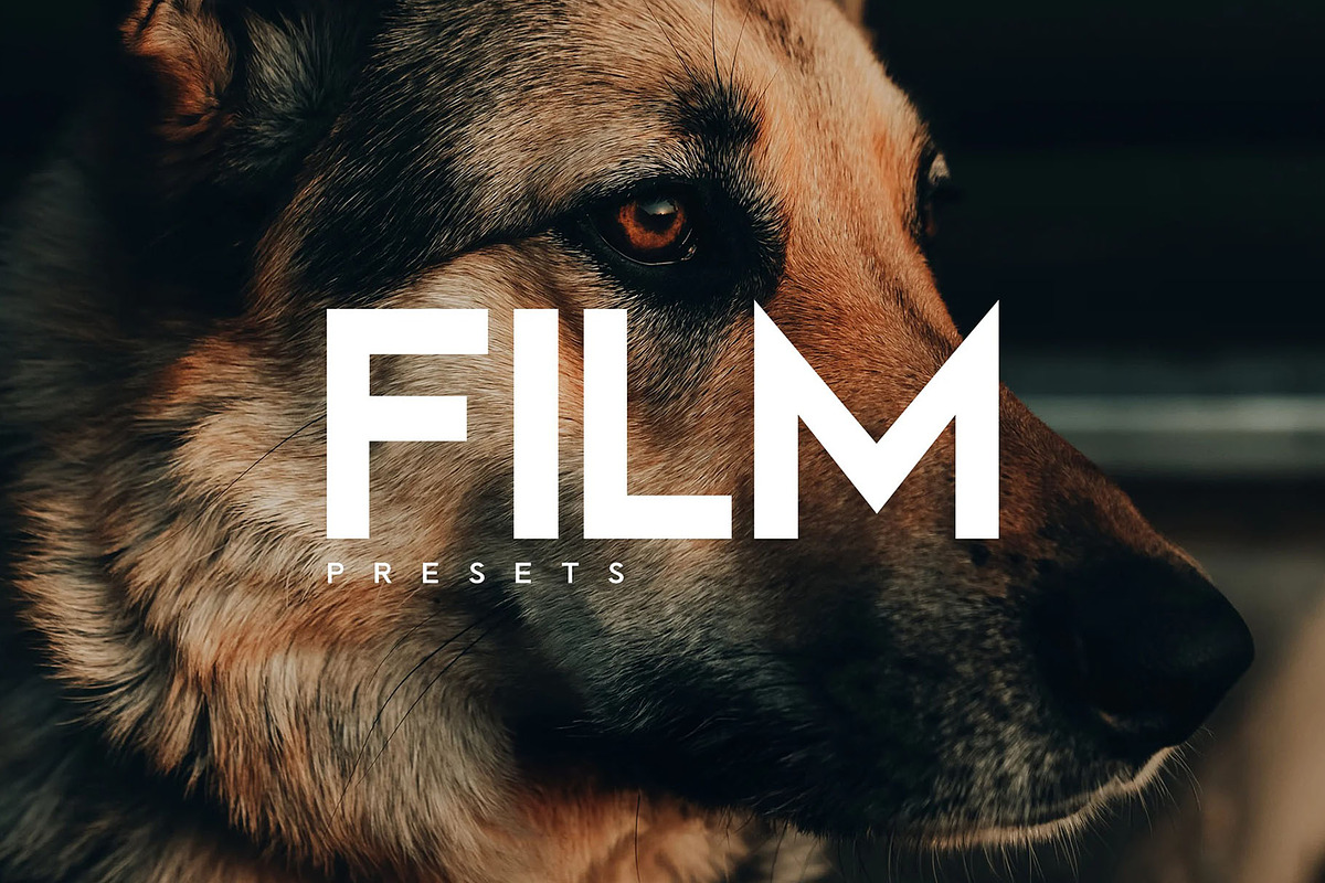 Film Presets For Mobile and Desktop, a Preset Add-On by Hubzway (Photo 1 of 4)