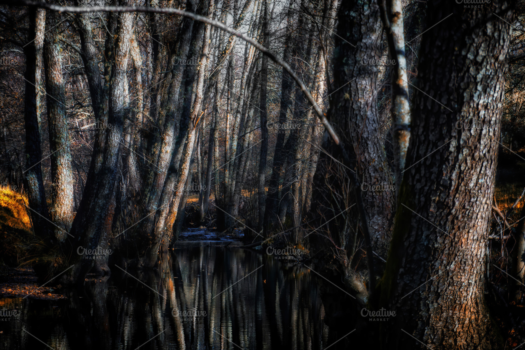 Wild River Landscape. Sanabria,Spain, a Nature Photo by Shootdiem