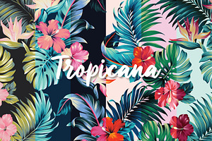 Tropicana, Tropical Seamless Pattern