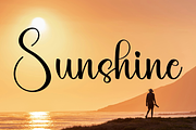 Amellia Wedding, a Handwritten Font by InermediaSTUDIO (Thumbnail 4 of 8)
