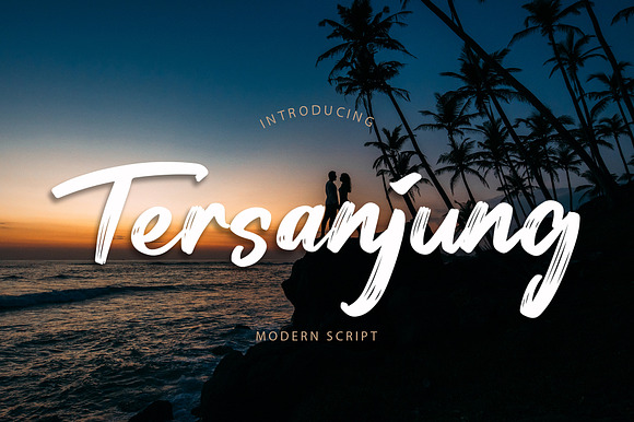 Tersanjung Modern Script Brush Font preview 8
