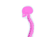 Biology & Anatomy goodnotes stickers, an Education Illustration by Noorist (Thumbnail 31 of 32)