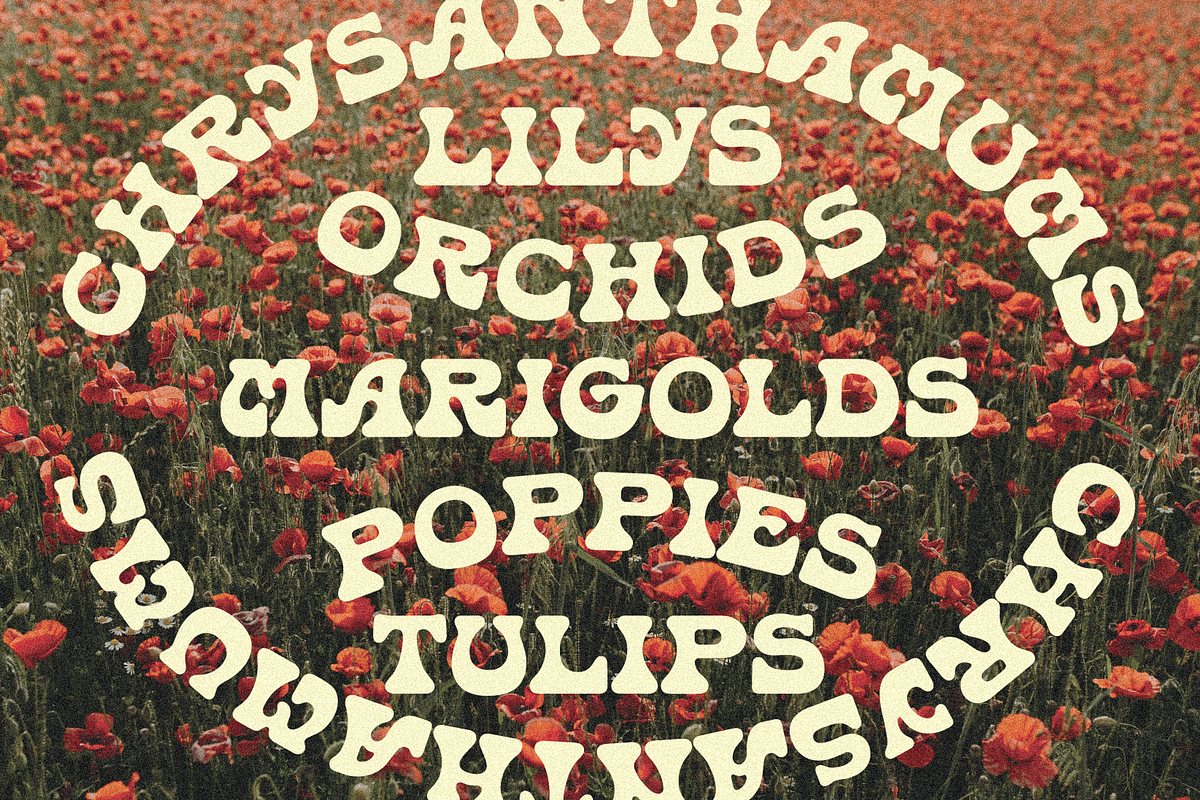 MC Kombucha, a Serif Font by McLetters (Photo 5 of 8)