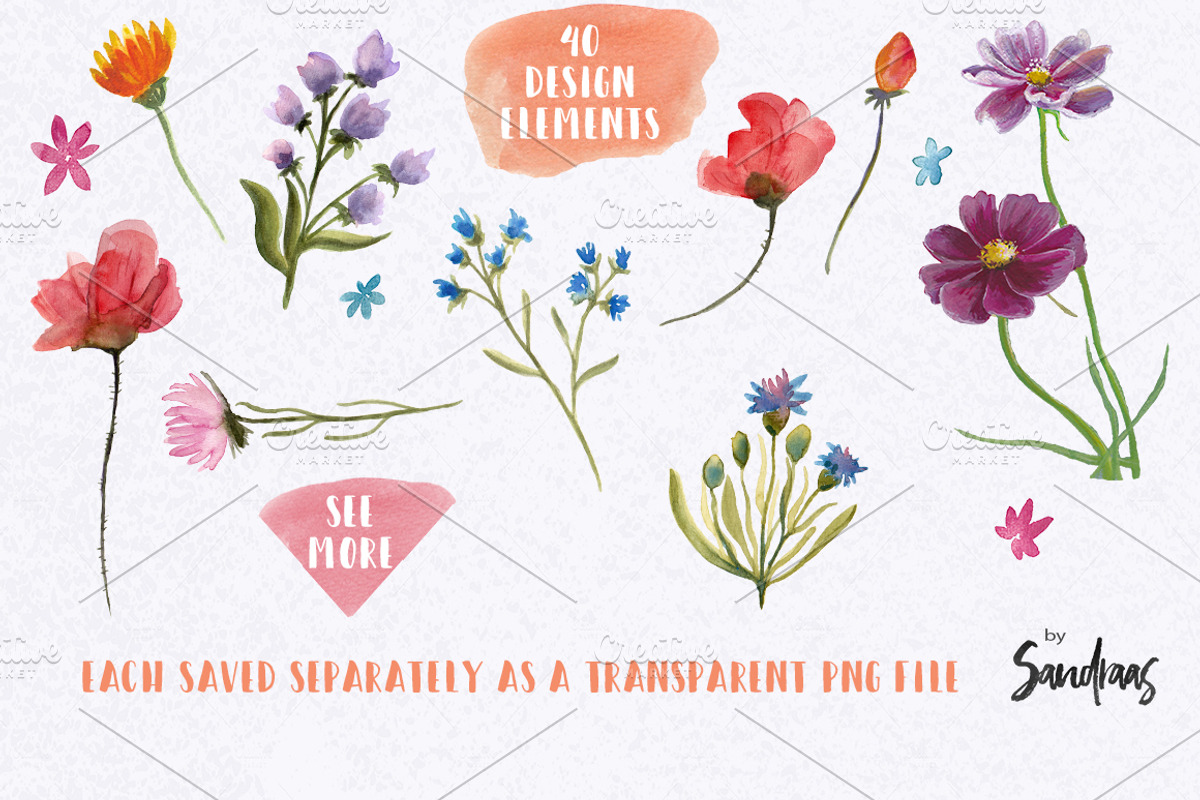 Wild flowers watercolor clip art, an Illustration by SandraGraphicDesign (Photo 6 of 7)