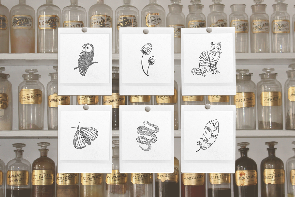 Magical Mystical Vector Illustration, an Illustration by Emma Webb Studio (Photo 5 of 9)