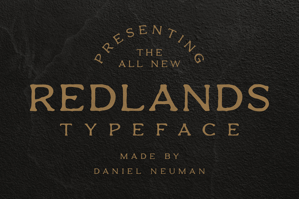 Typeface Bundle | Font Collection, a Sans Serif Font by Daniel Neuman (Photo 8 of 11)