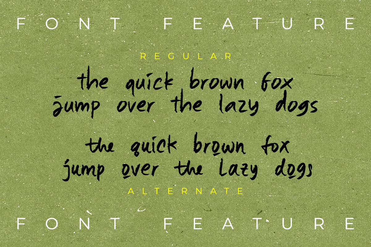 Omika-Handwritten Script Font, a Script Font by Scratch Design (Photo 10 of 11)