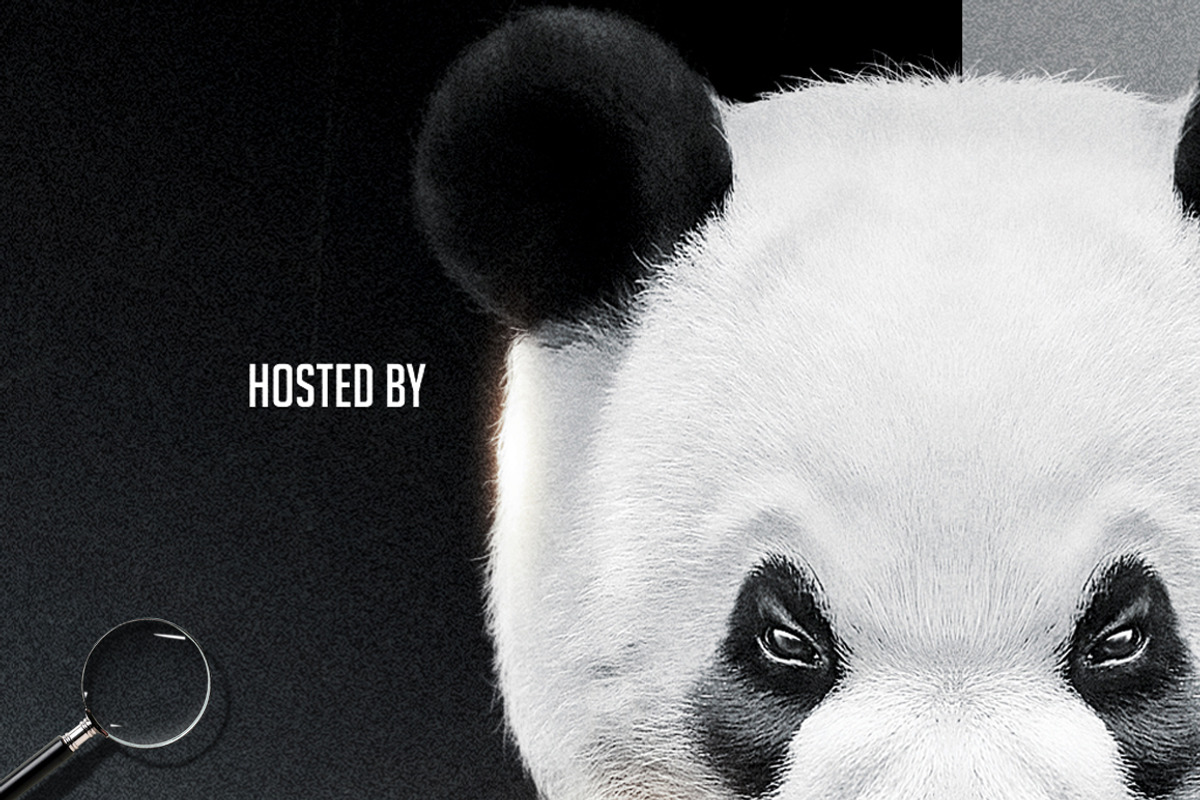 Panda | Conceptual Cover Template, a Flyer Template by GIGA-TEMPLATE (Photo 4 of 6)