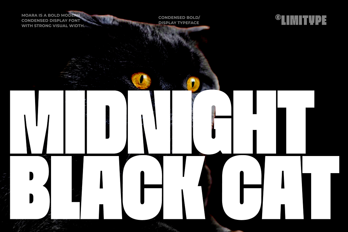 Moara - Bold Condensed Font, a Sans Serif Font by limitype (Photo 3 of 13)