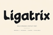 Ligatrix, a Slab Serif Font by Wow Magic (Thumbnail 1 of 4)