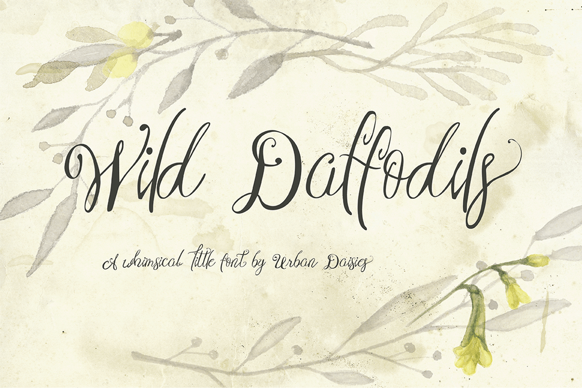 Wild Daffodils Script