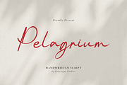Pelagrium | Handwritten Script, a Script Font by gracetype_studio (Thumbnail 1 of 12)