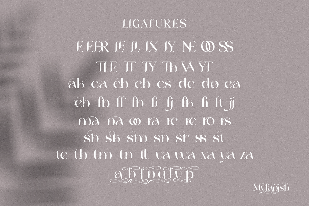 Mylanish _ unique modern typeface, a Serif Font by Penatic Studio (Photo 11 of 11)