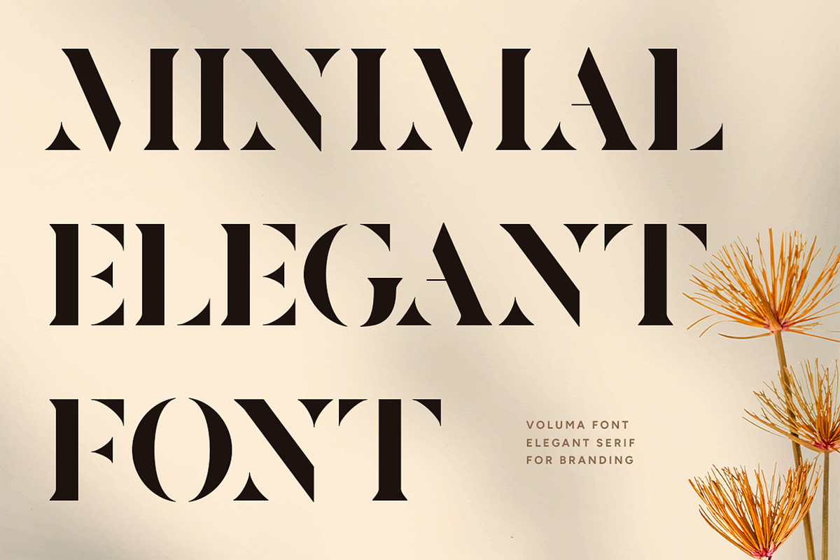 VOLUMA - Simple Elegant Display Font, a Serif Font by Pekotype (Photo 2 of 11)