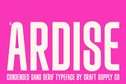 CS Ardise – Condensed Font, a Sans Serif Font by Craft Supply Co. (Thumbnail 1 of 8)