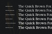 Neutical Serif Font Family (12 Font), a Serif Font by Heinzel Std (Thumbnail 4 of 19)