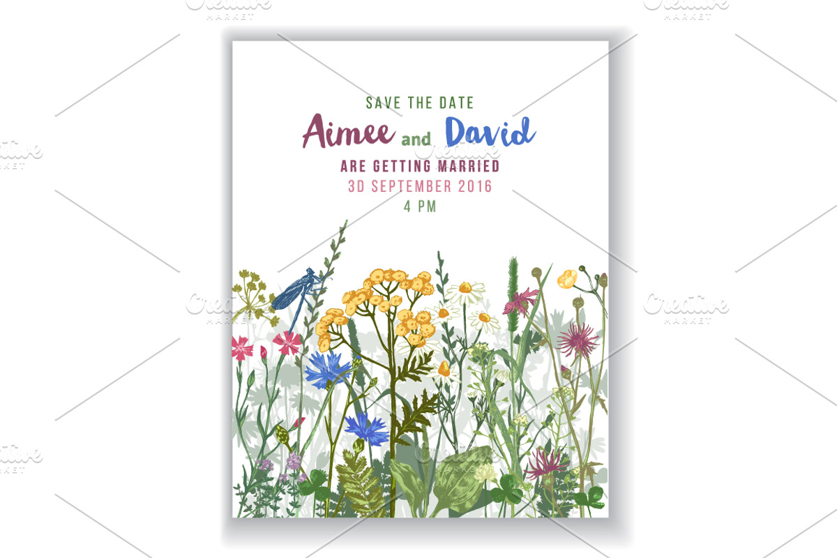 Meadow herbs and flowers, a Decorative Illustration by handsketched (Photo 4 of 7)