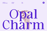 CS Quest Drawn, a Serif Font by Craft Supply Co. (Thumbnail 7 of 8)
