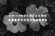 Lowera Serif Display Font, a Serif Font by Hishand Studio (Thumbnail 6 of 10)