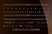 Mystequ New Modern Display, a Serif Font by Storytype Studio (Thumbnail 14 of 15)