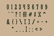 Warsaw, a Serif Font by Studio One Four (Thumbnail 3 of 6)