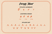 The Anthelope - Retro Script Font, a Script Font by StringLabs (Thumbnail 12 of 14)