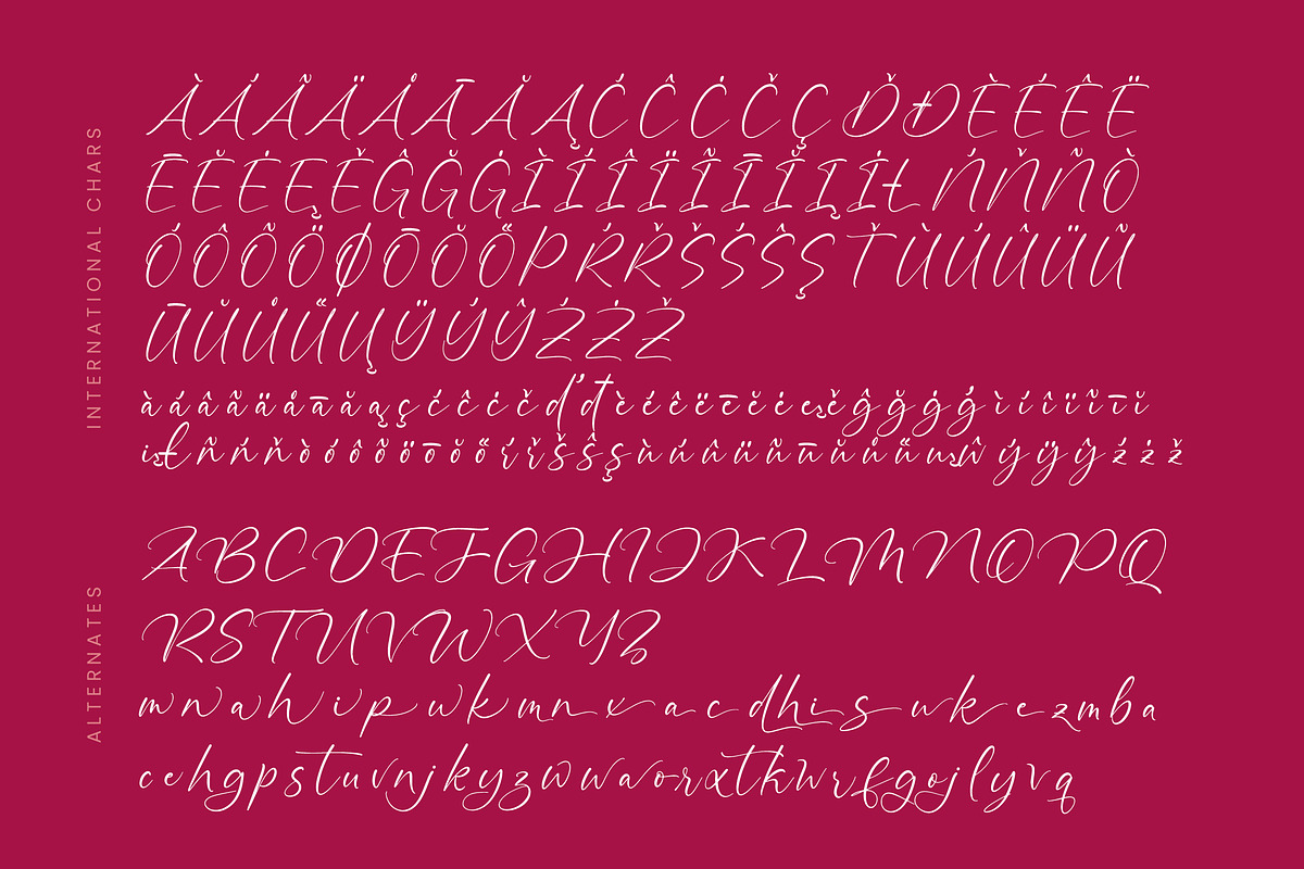 Montise Natasha Stylish Handwritten, a Script Font by stylishtype.co (Photo 18 of 20)