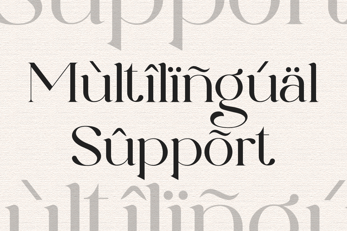 Elegant Serif - Roman Escort, a Serif Font by Font Liner (Photo 14 of 14)