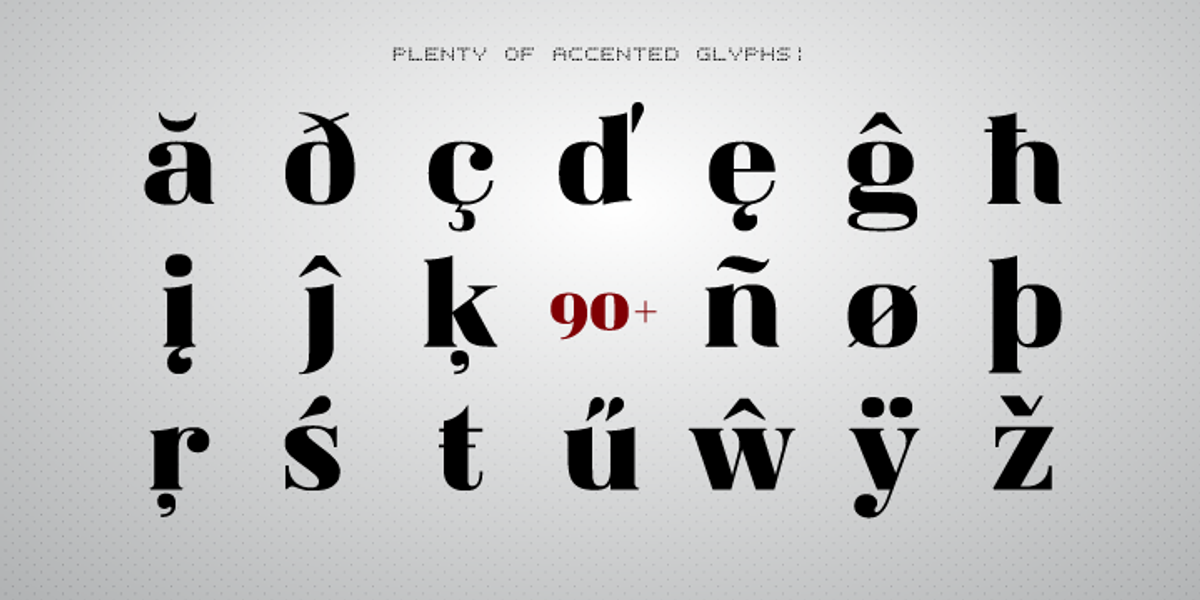 Magnel, a Serif Font by Eimantas Paskonis (Photo 6 of 6)