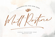 Matt Rostine - Chic Signature Font, a Script Font by Vultype Co. (Thumbnail 1 of 10)