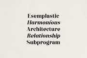 Averique – Elegant Modern Serif Font, a Serif Font by Only Fonts (Thumbnail 5 of 11)