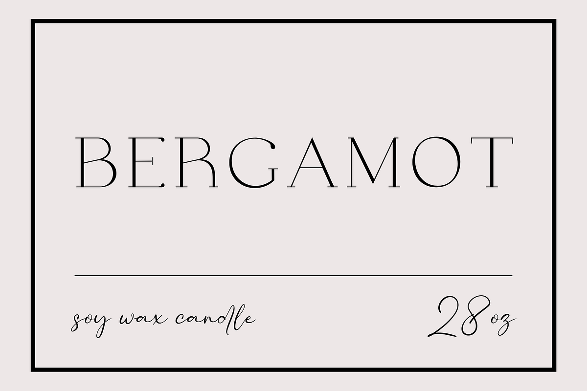 Bianca & Bianco Font Duo, a Font by Sofia Skoog (Photo 10 of 16)